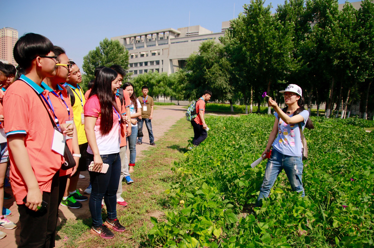 讲解员在为营员们讲解各种植物的特点