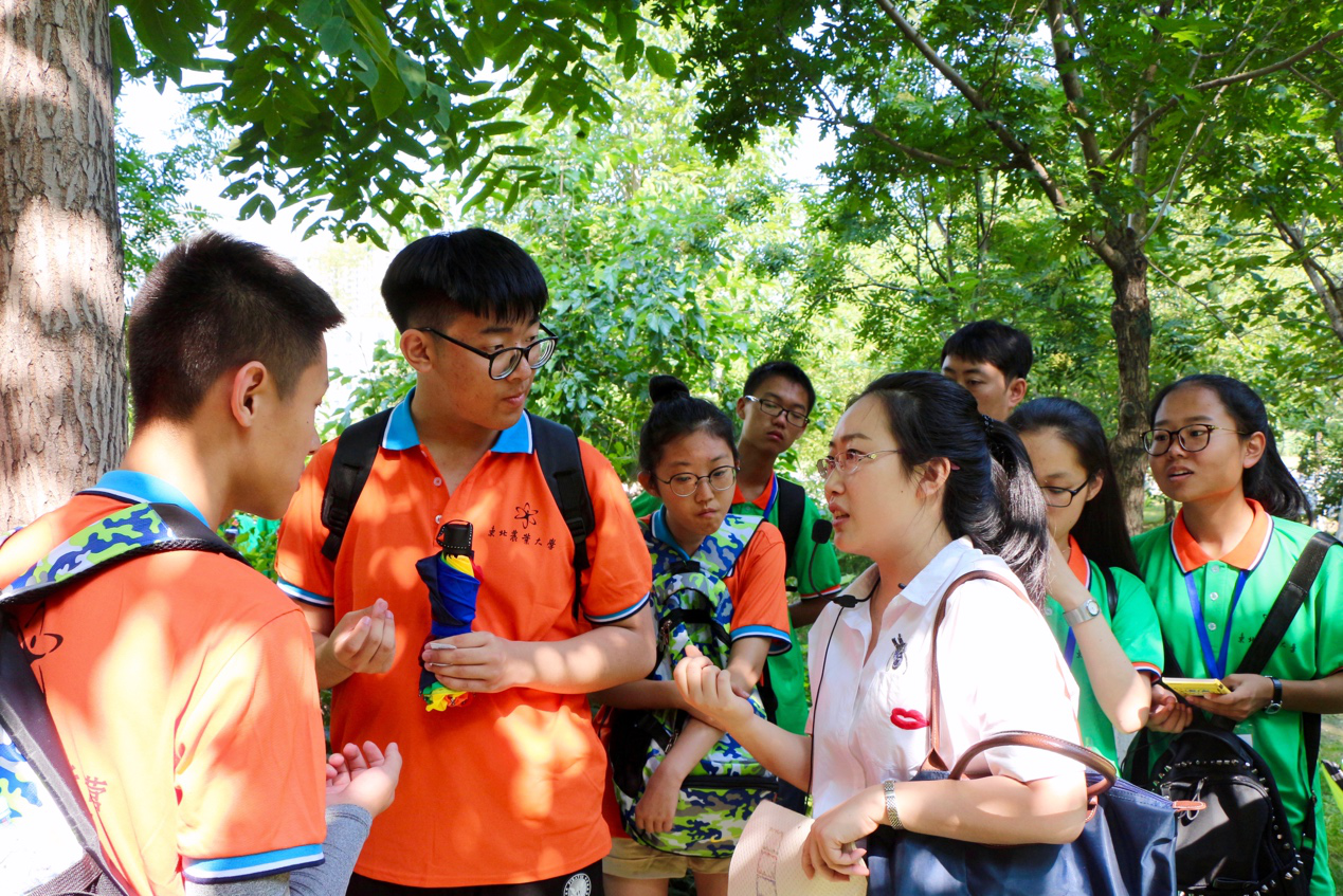营员们在讲解员的带领下观察植物