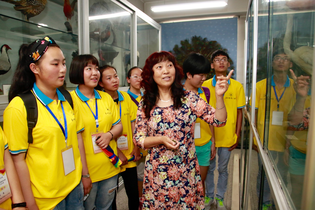 讲解员带领科学营营员参观标本