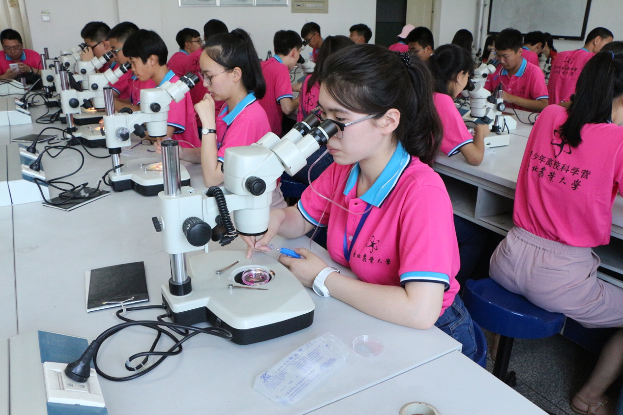 营员们在老师的指导下进行实验