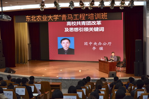 团中央办公厅副主任李骥作专题报告