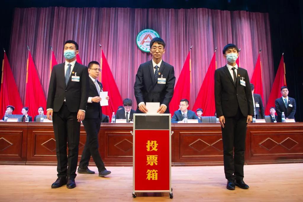 大会主席团投票