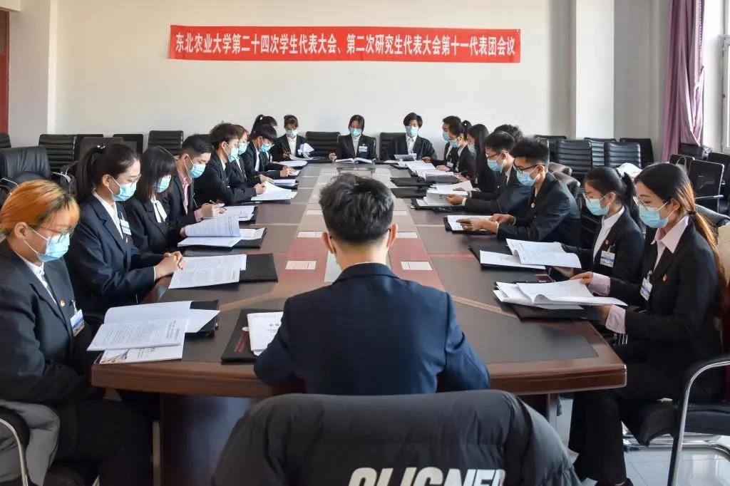 大会各代表团分组讨论